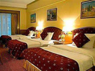 Gss Avenue Hotel Ex Delmon Hotel Hotel Dubai