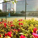 The Urban Oasis - Bliss