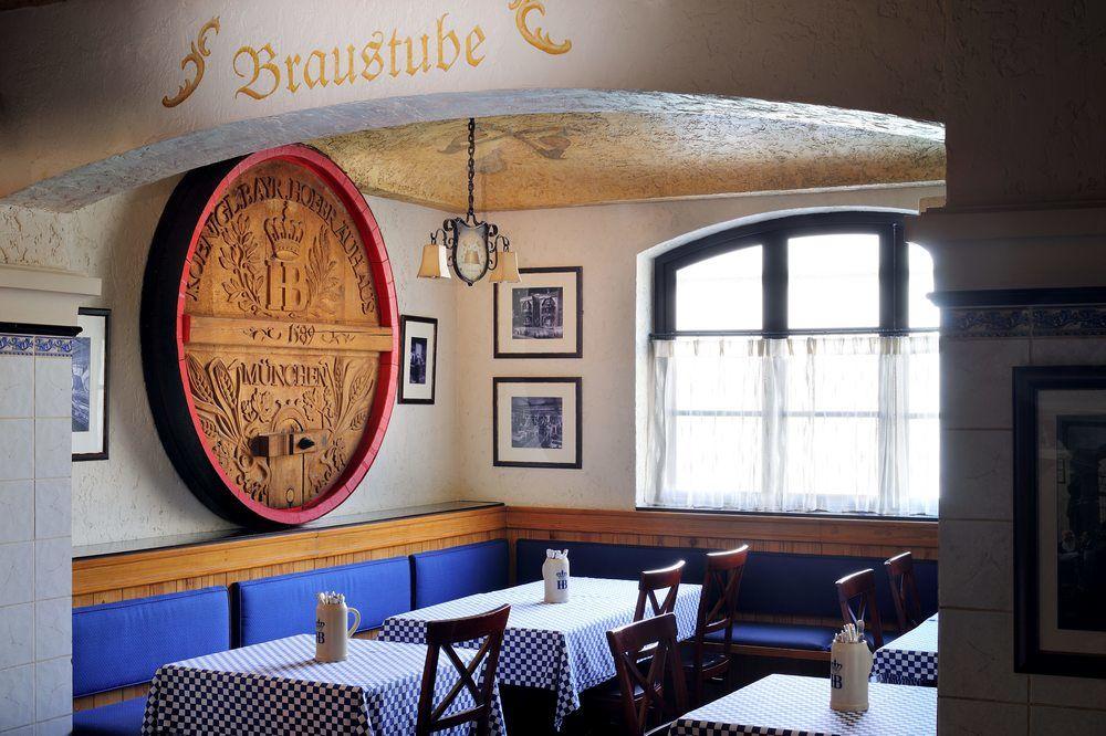 The Bristol