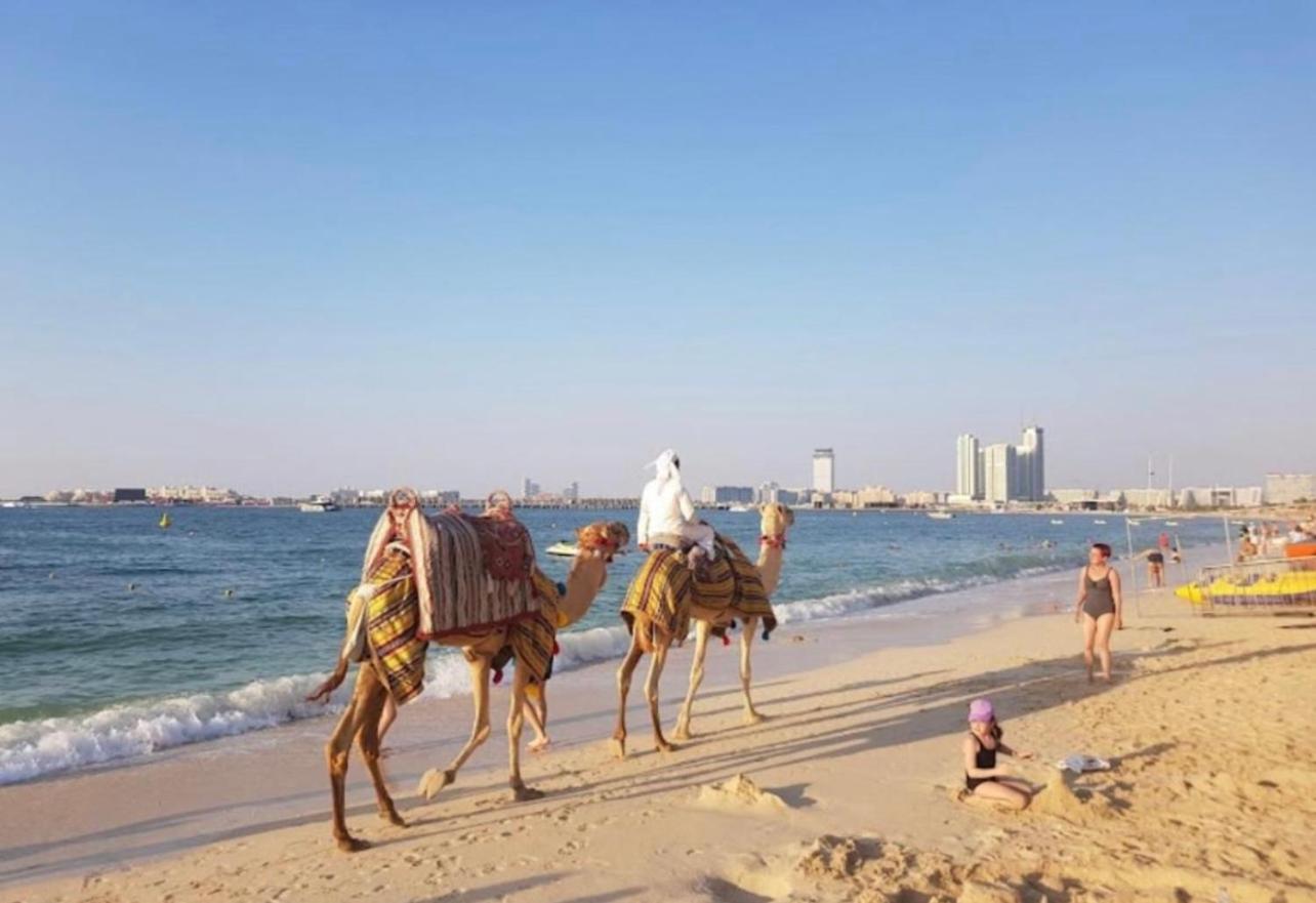 Hostel Seaview Beach Jbr - Walk To Beach - Gym - Pool - Metro Station