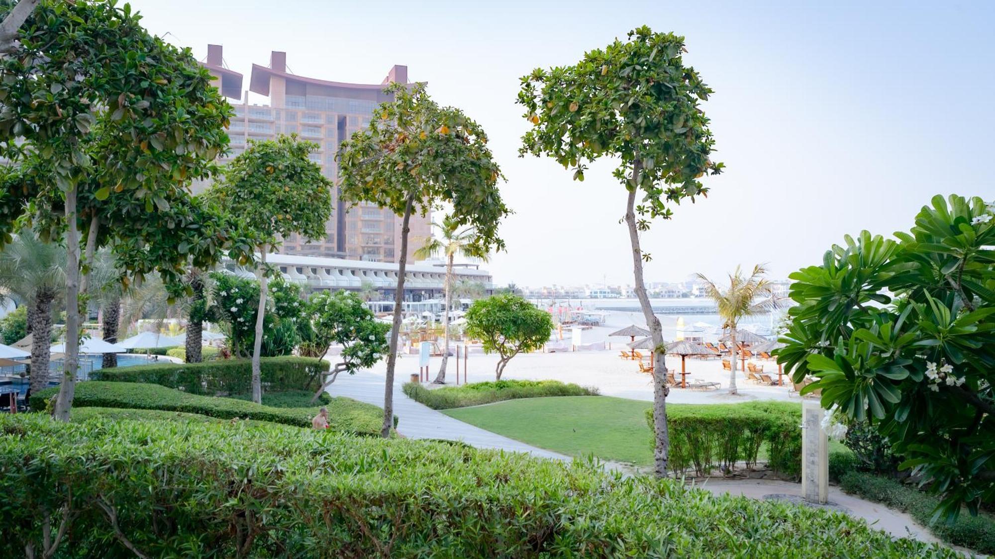 Apartment 2bdr Luxury In Palm