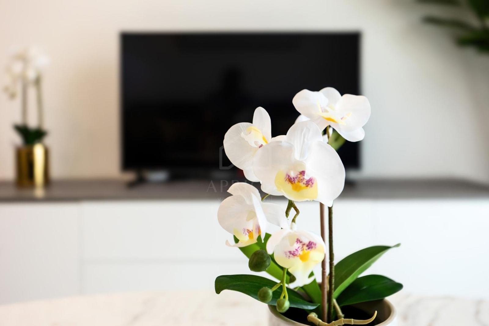 Elegant 1-bedroom At Bloom Heights