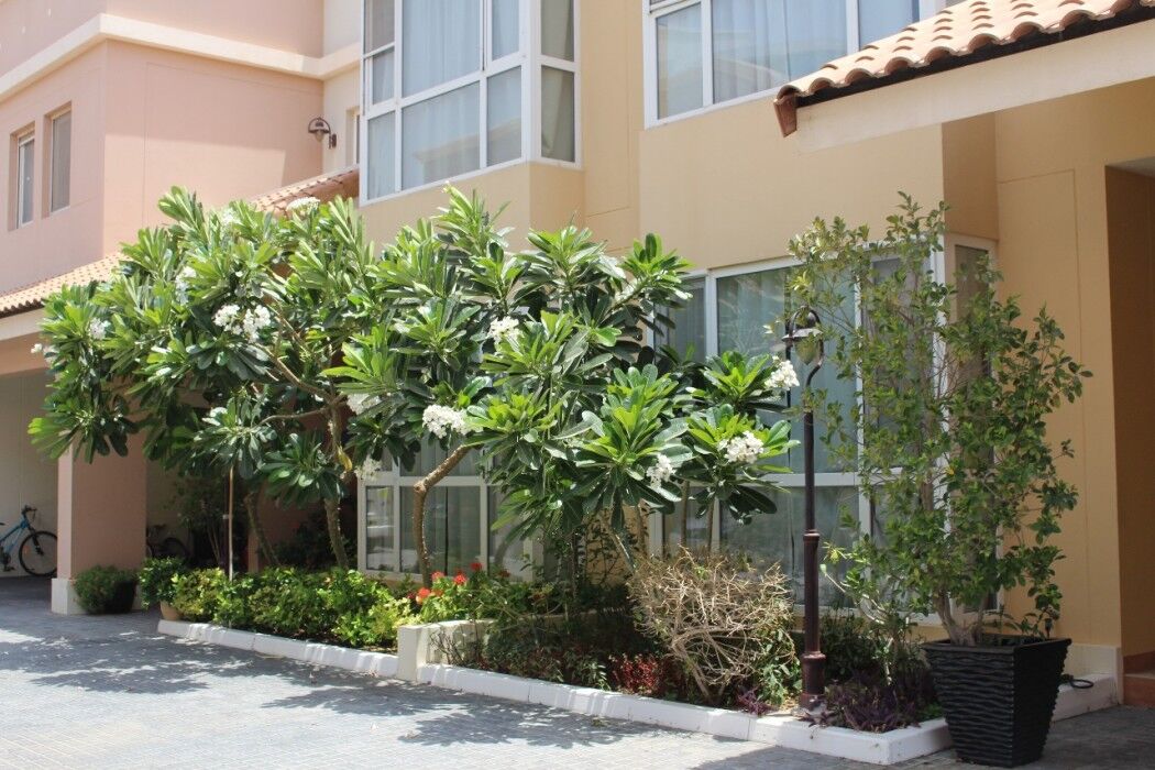 Barsha Gardens By J5 Homes 4* Dubai